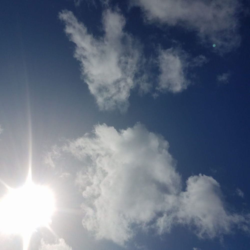 Meet your Posher, Jerilyn